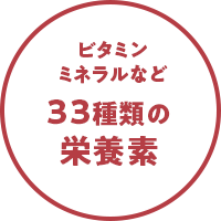 ビタミンミネラルなど３３種類の栄養素