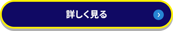 詳しく見る